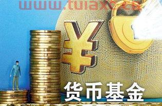 如何投资货币基金