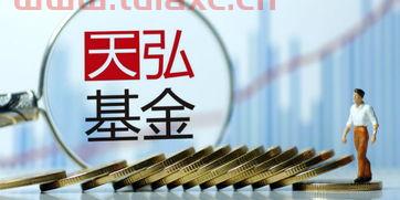 天弘基金净值