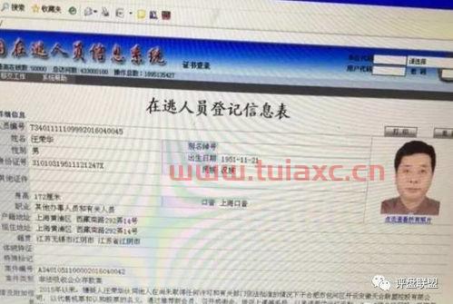 北斗世联怎么封网了