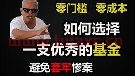 什么基金适合新手