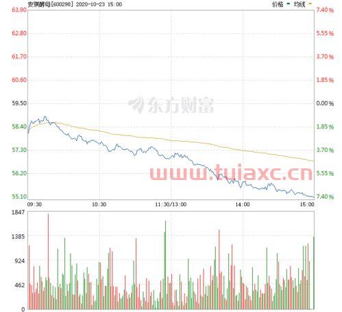 安琪酵母股票行情