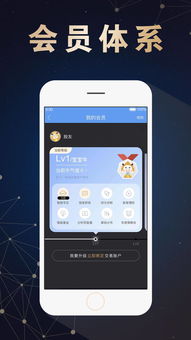 东北证券手机交易