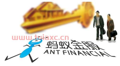 蚂蚁基金亏本了吗