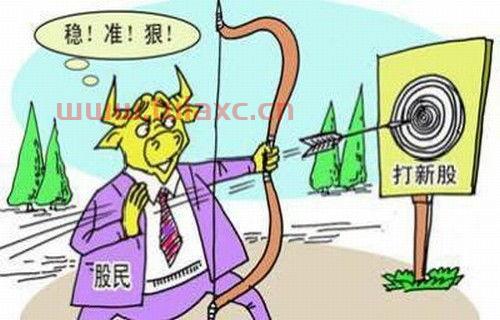361黄金网361