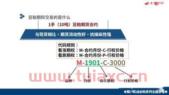 股票入门基础知识在线阅读