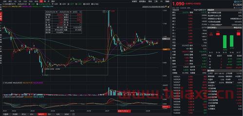 股票账户未开通第三方托管可以打新债吗