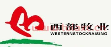 西部乳业