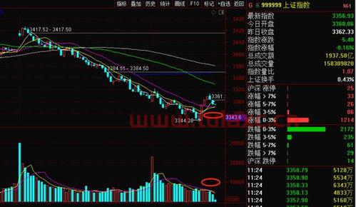大盘涨个股跌什么意思