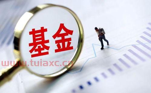 指数基金能买跌吗