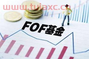 新手能玩基金吗