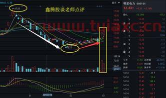 600101明星电力股吧