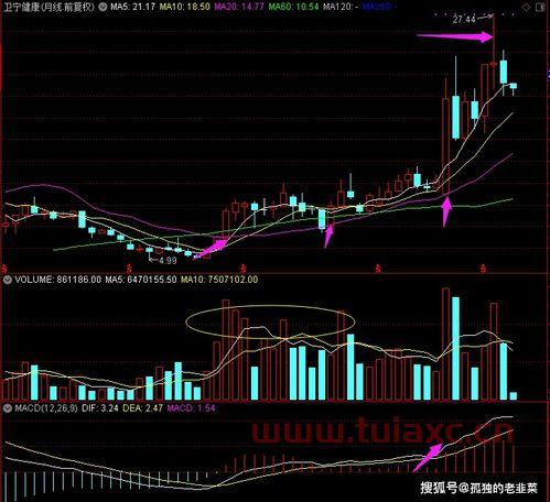 300253卫宁健康股吧