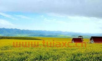 青海春天最新消息