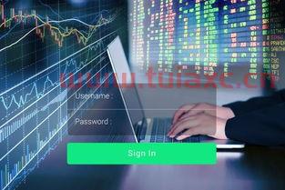 证券账户里怎么没有reits