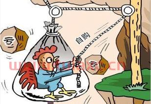 买哪种基金稳挣不赔本金