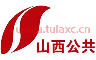 山西公共频道在线观看