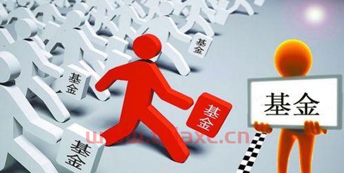 新手想买基金在哪里买