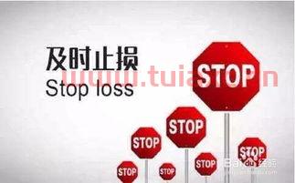 玩基金可以赚钱吗