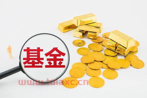 基金怎么买才赚钱快又稳定