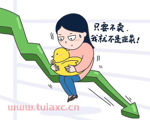 买基金亏不亏钱