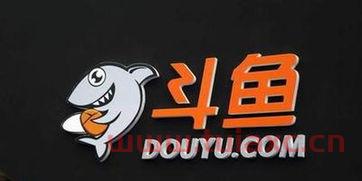斗鱼MSI版权