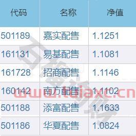 蚂蚁战略配售基金