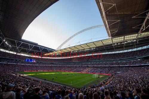 2020欧洲杯举行地点