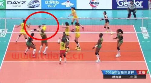 直播女排世界杯