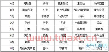 世界杯预选赛亚洲积分榜