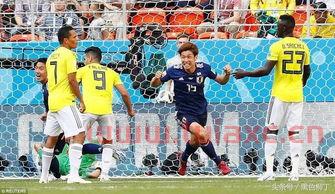 世界杯2022球队数量