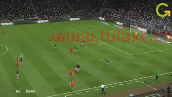 足球世界杯中国呢