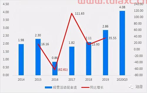 雅化集团股票未来发展潜力