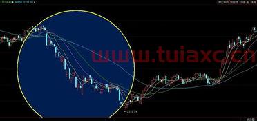 普华科技在线股票行情