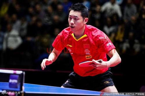 2020乒乓球德国公开赛