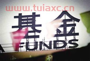 新手要不要买基金