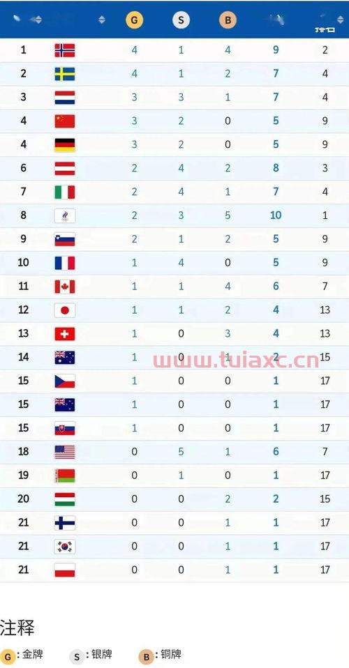 冬运会金牌榜