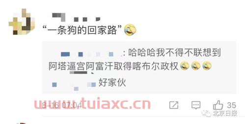 中央电视台6套在线直播