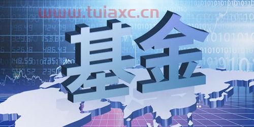 黄金基金适合于什么投资者