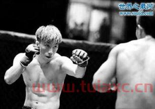 中国散打王排名