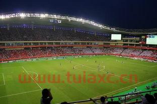 上海申花主场在哪里