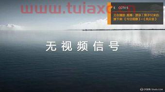 ***5节目表电视猫