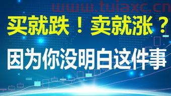 股票基础知识入门三十一