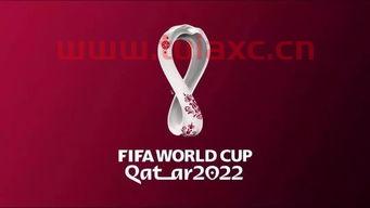 卡塔尔2022年世界杯作文