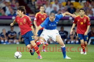 2012年欧洲杯决赛