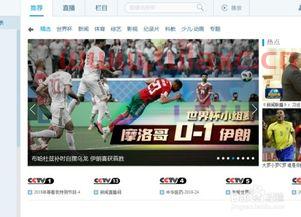 哪里看世界杯直播