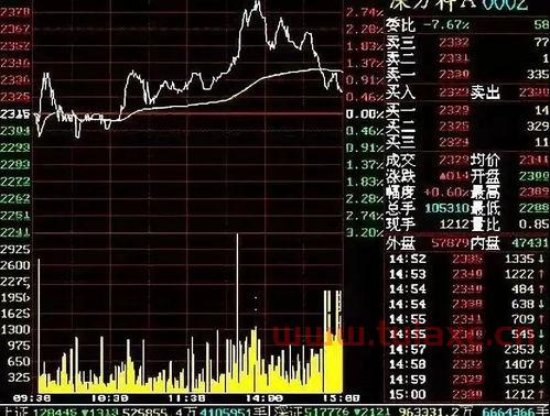 实时股市行情网