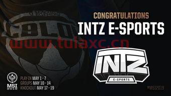 msi2019冠军