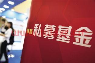 私募基金怎么玩新手入门视频