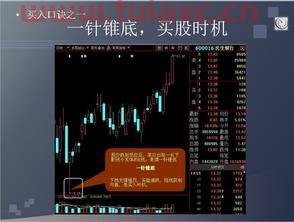 股票入门新手必看