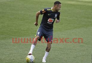 巴西世界杯预选赛